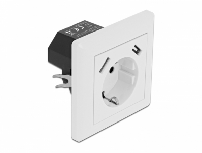 Delock Wall Socket with 2 x USB Type-A Charging Port 2.8 A