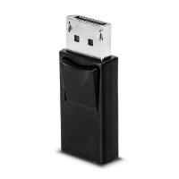 Mini DP to DP Adapter