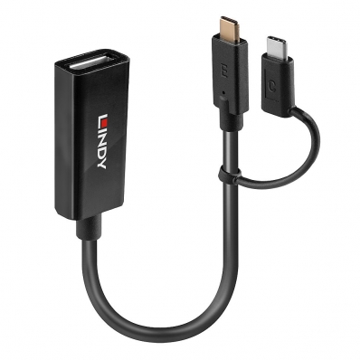 Lindy Bi-directional USB Type C to DisplayPort Converter