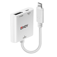 Lindy USB Type C to DisplayPort Converter with Power Delivery