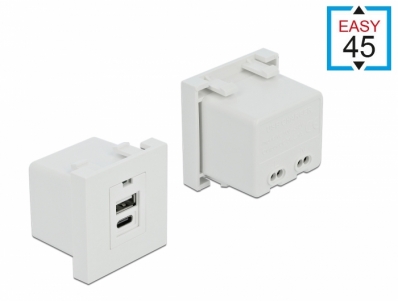 Delock Easy 45 USB Charging Port Module 1 x Type-A + 1 x USB Type-C™