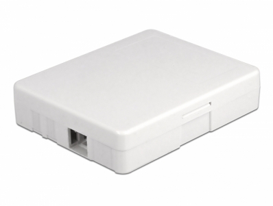 Delock Optical Fiber Connection Box for wall mounting for 2 x SC Simplex or LC Duplex white