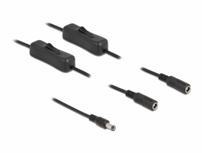 Delock Cable DC 5.5 x 2.1 mm male to 2 x DC female with switch 1 m