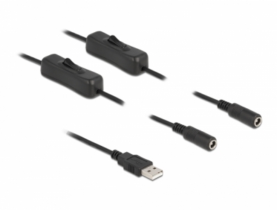 Delock Cable USB Type-A male to 2 x DC 5.5 x 2.1 mm female with switch 1 m