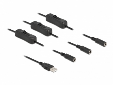 Delock Cable USB Type-A male to 3 x DC 5.5 x 2.1 mm female with switch 1 m