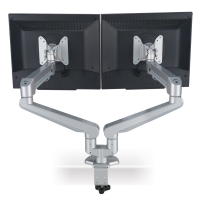 ROLINE Dual LCD Monitor Stand Pneumatic, Desk Clamp, Pivot, 2 Joints