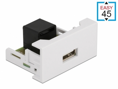 Delock Easy 45 Module USB 2.0 Type-A female to RJ45 female port 22.5 x 45 mm