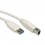 VALUE USB 3.0 Cable, Type A M - B M 3.0 m