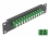 Delock 10″ Fiber Optic Patch Panel 12 Port LC Duplex green 1U black