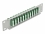 Delock 10″ Fiber Optic Patch Panel 12 Port LC Quad green 1U grey