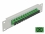 Delock 10″ Fiber Optic Patch Panel 12 Port SC Simplex green 1U grey