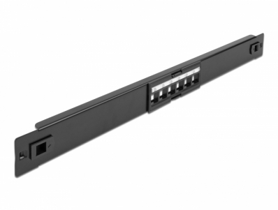 Delock 19″ Keystone Patch Panel 6 Port tool free