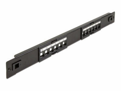 Delock 19″ Keystone Patch Panel 12 Port tool free