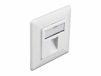 Delock Keystone Wall Outlet 1 port