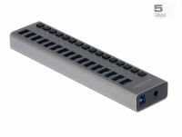 Delock External SuperSpeed USB Hub with 16 Ports + Switch