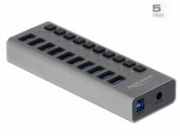 Delock External SuperSpeed USB Hub with 10 Ports + Switch