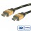 ROLINE GOLD HDMI High Speed Cable with Ethernet, HDMI M-M 20 m