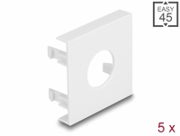 Delock Easy 45 Module Plate Round cut-out Ø 19.2 mm, 45 x 45 mm 5 pieces white