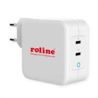 ROLINE USB Wall Charger Euro Plug, 2 Ports, 2x C (PD), 100W, GaN