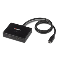 Lindy 2 Port USB 3.2 Gen 1 Type C Bi-Directional Switch
