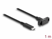 Delock SuperSpeed USB 10 Gbps (USB 3.2 Gen 2) Cable USB Type-C™ male to female 1 m panel-mount black