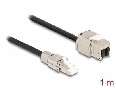 Delock Cable RJ45 plug field assembly to Keystone Module RJ45 jack Cat.6A 1 m