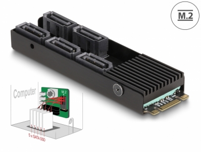 Delock Converter M.2 2280 Key B+M male to 5 x SATA with heat sink