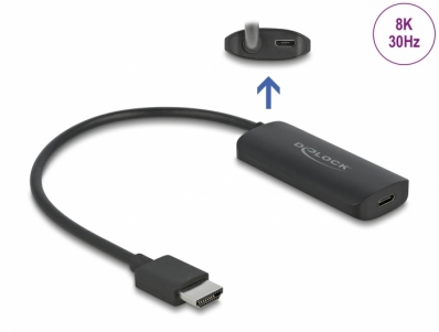 Delock Adapter HDMI-A male to USB Type-C™ female (DP Alt Mode) 8K