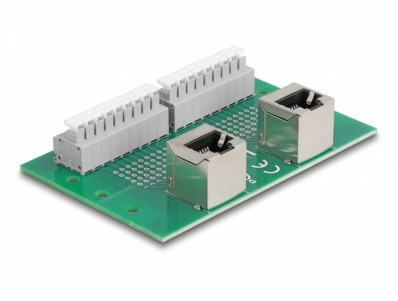 Delock RJ45 2 x female to 2 x Terminal Block with push-button for DIN rail angled