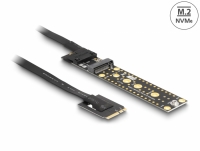 Delock Riser Card NVMe M.2 Key A+E male to Key M Slot with 20 cm cable