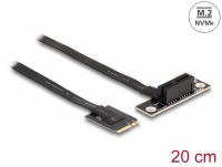 Delock M.2 Key A+E to PCIe x1 NVMe Adapter angled with 20 cm cable
