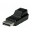 ROLINE DisplayPort Adapter, DP M - Mini DP F