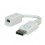 ROLINE DisplayPort Adapter, DP M - Mini DP F