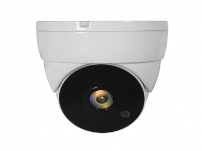 Level One LevelOne CCTV ACS-5302 Dome In 2MP IR