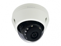 Level One LevelOne IPCam FCS-3307 Dome Out 5MP H.265 IR 12W PoE