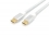 Equip USB Kabel 3.2 C -> C St/St 1.00m 5A 4K/60Hz ws