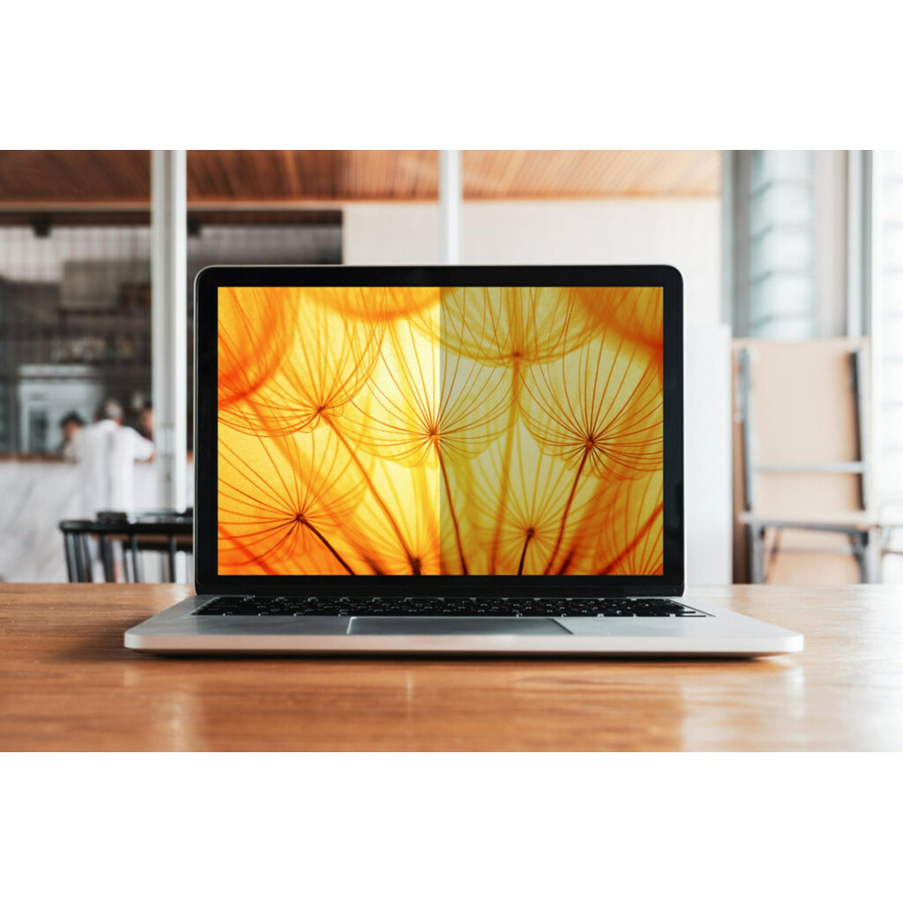 3M Blickschutzfilter 16"   Laptop (16:10) PF160W1B