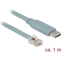 Delock Adapter USB 2.0 Type-A male > 1 x Serial RS-232 RJ45 male 1,0 m grey