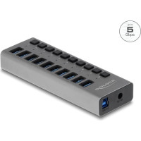 Delock External 5 Gbps USB Hub with 10 Ports + Switch