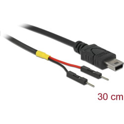 Delock USB Power Cable Mini-B to 2 x pin header male separate power 30 cm