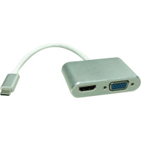 Roline Type C - HDMI/VGA Adapter, M/F
