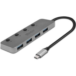 Lindy 43383 interfeisa centrmezgls USB 3.2 Gen 1 (3.1 Gen 1) Type-C 5000 Mbit/s Pelēks