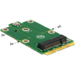 Delock Adapter MiniPCIe  M.2 NGFF
