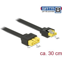 Delock Extension cable SATA 6 Gb/s receptacle > SATA plug with pin 8 power support latchtype 30 cm