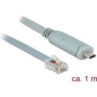 Delock Adapter USB 2.0 Type-C™ male > 1 x Serial RS-232 RJ45 male 1.0 m grey