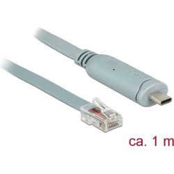 Delock Adapter USB 2.0 Type-C male > 1 x Serial RS-232 RJ45 male 1.0 m grey