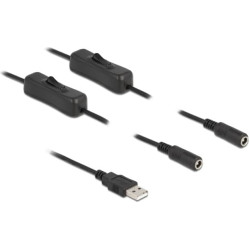 Delock Cable USB Type-A male to 2 x DC 5.5 x 2.1 mm female with switch 1 m