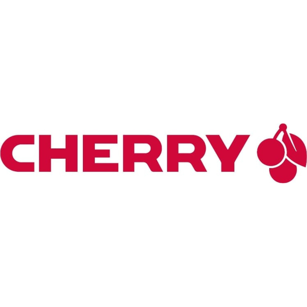 Cherry KC 1000 tastatūra Birojs USB QWERTZ Vācu Pelēks