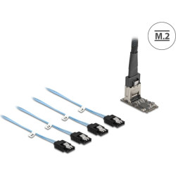 Delock M.2 2242 Key B+M Controller to 4 x SATA with 1 m cable