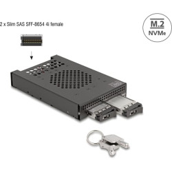 Delock 3.5″ Mobile Rack for 2 x M.2 NVMe SSD with Slim SAS SFF-8654 connector